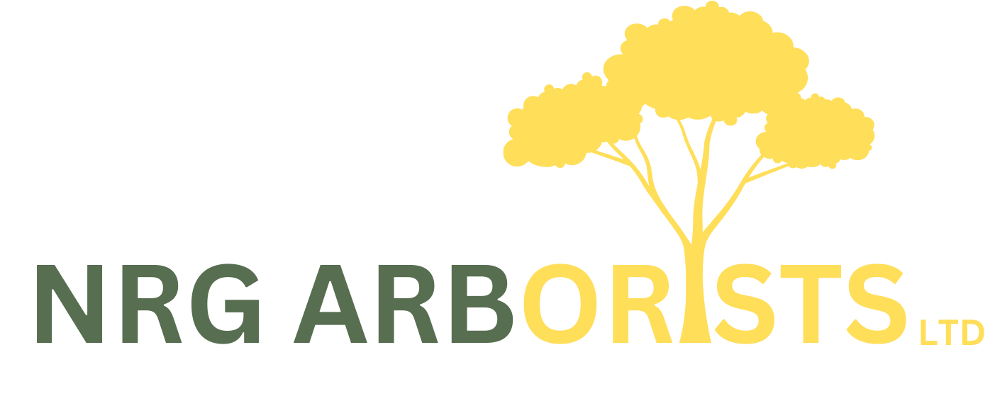 NRG Arborists Ltd