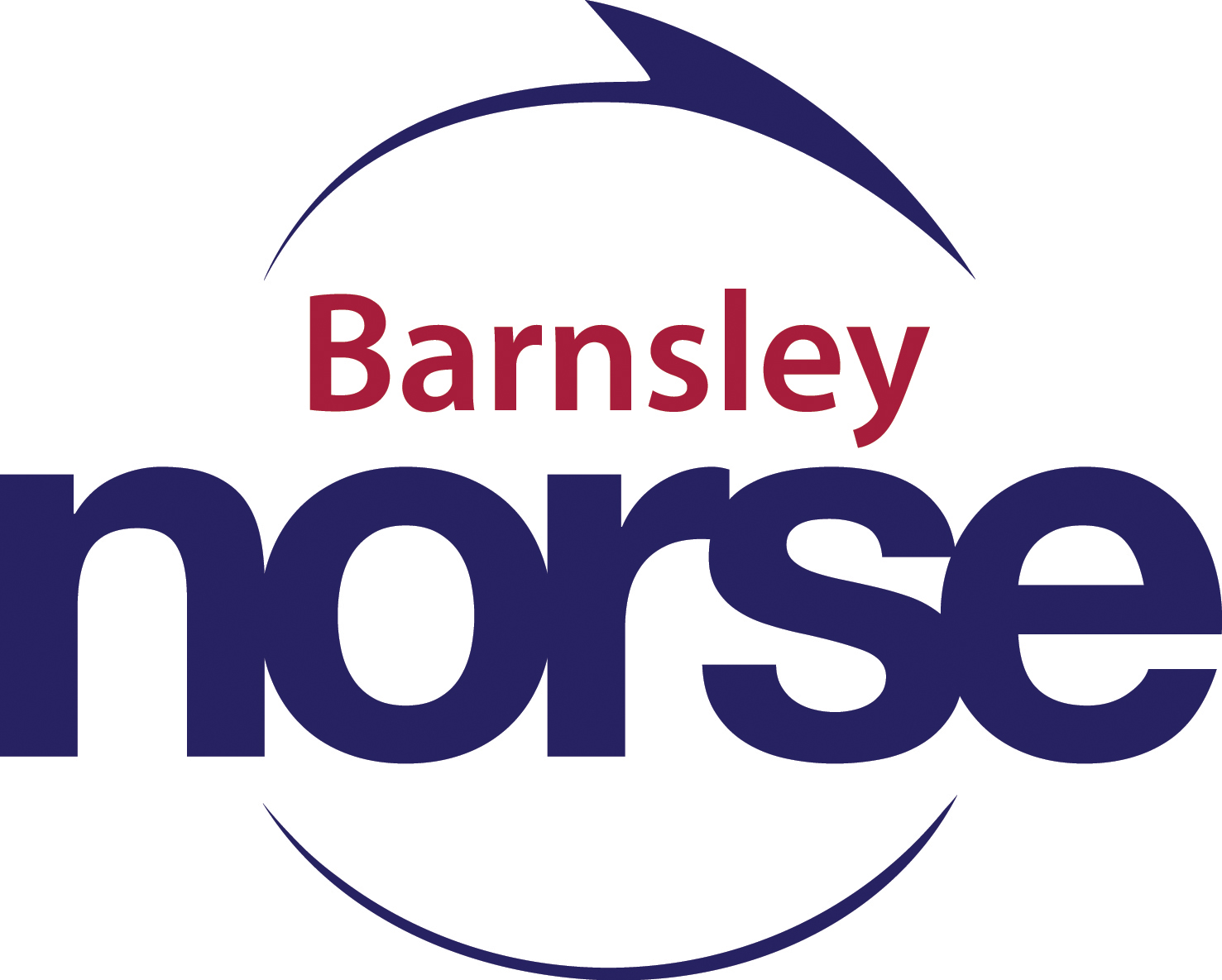barnsley-norse-logo