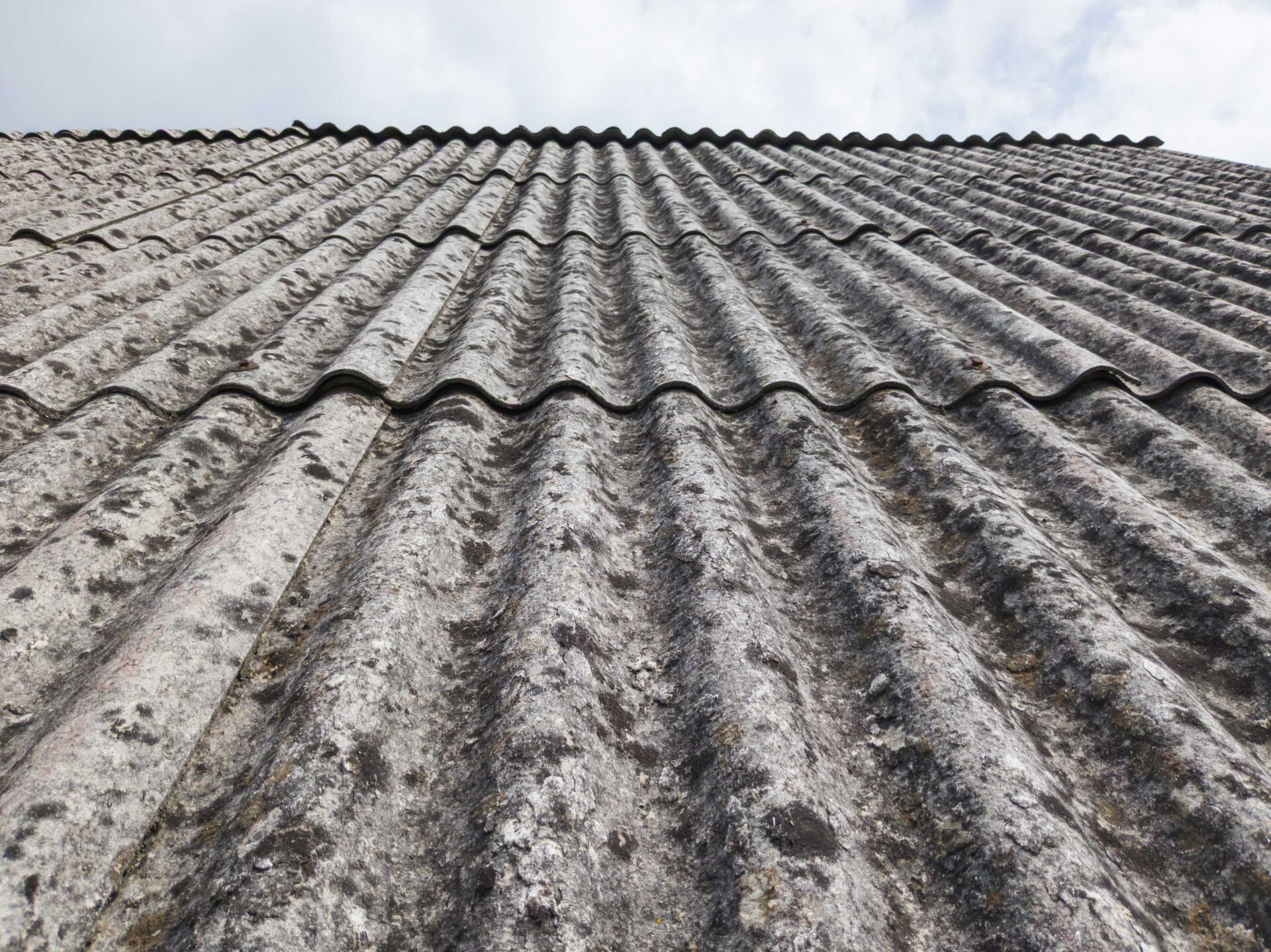 Asbestos Removal Services